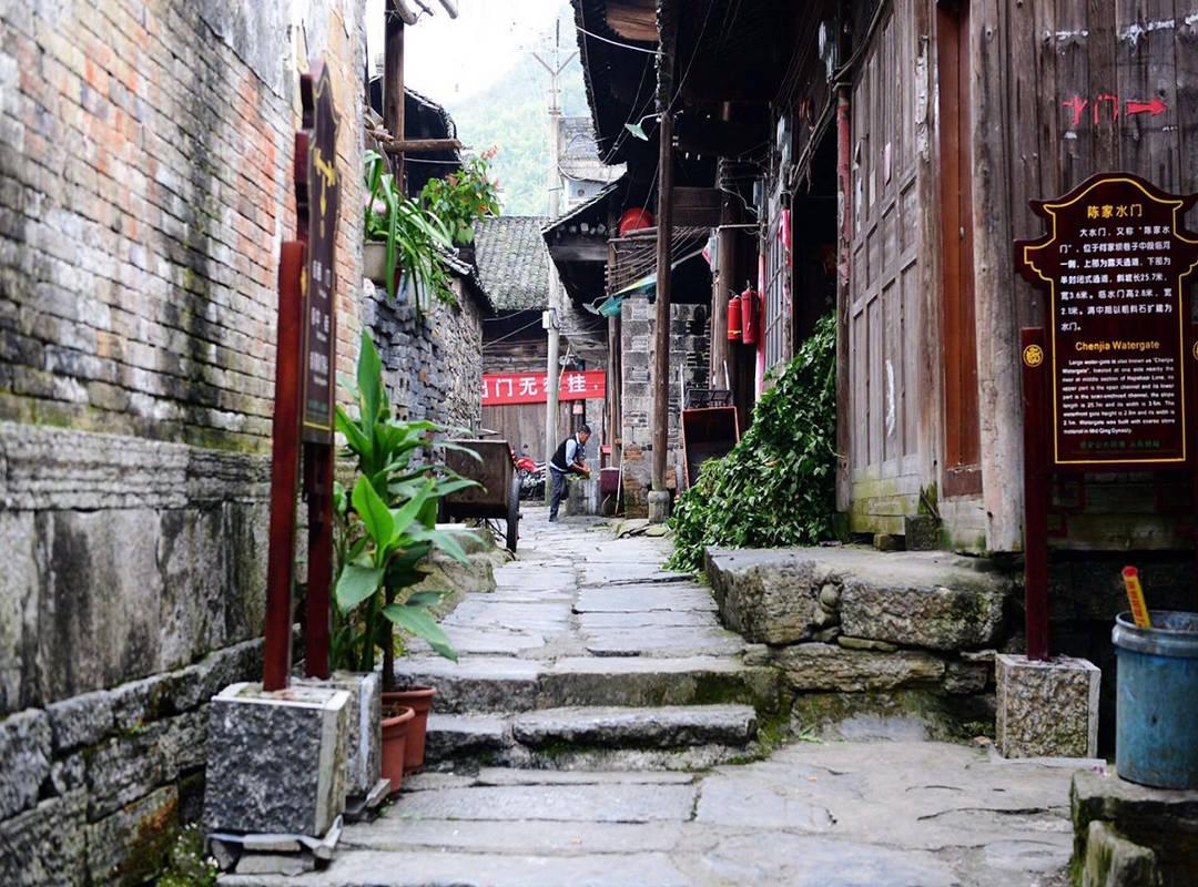 广东队最佳调整方案：裁掉沃特斯，任骏飞当替补，杜锋任助教